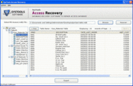 MS Access Recovery Software screenshot